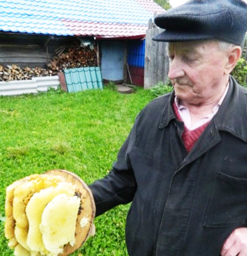 В Нижегородской области найдена уникальная борть с родовым знаком  терюханской мордвы